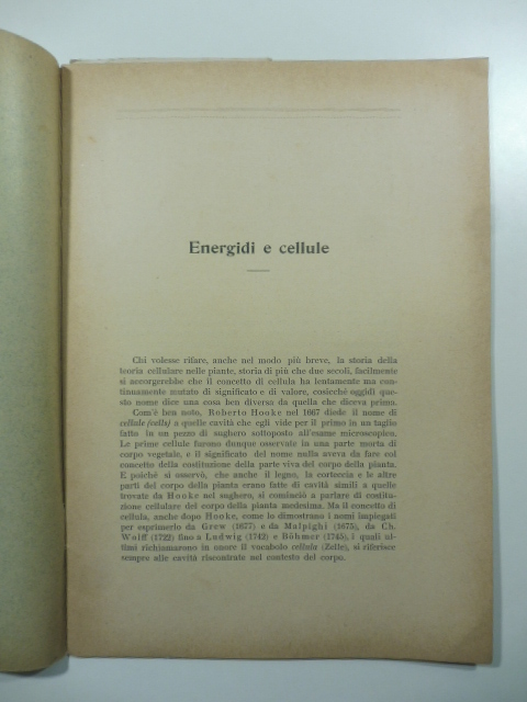 Energidi e cellule